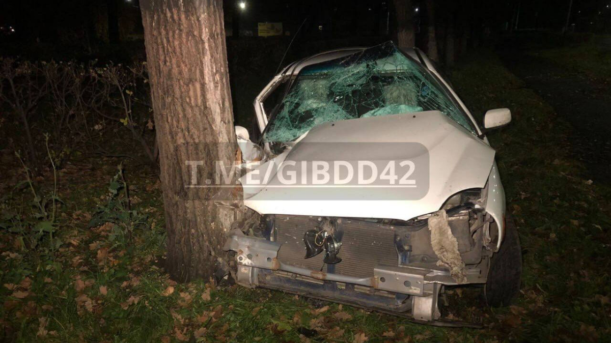 Водитель был пьян. В Прокопьевске автомобиль влетел в дерево