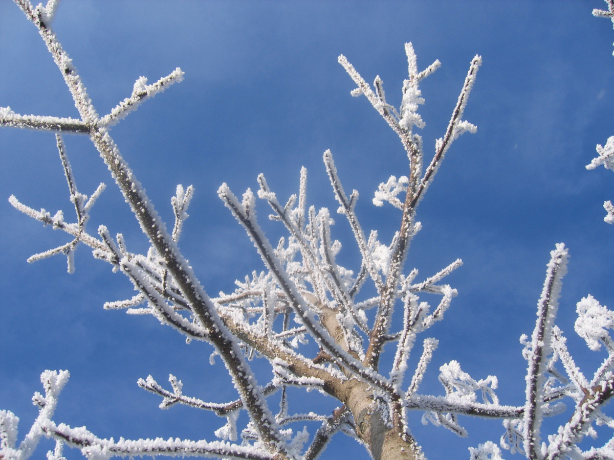 Морозы придут в Кузбасс вместе с календарной зимой