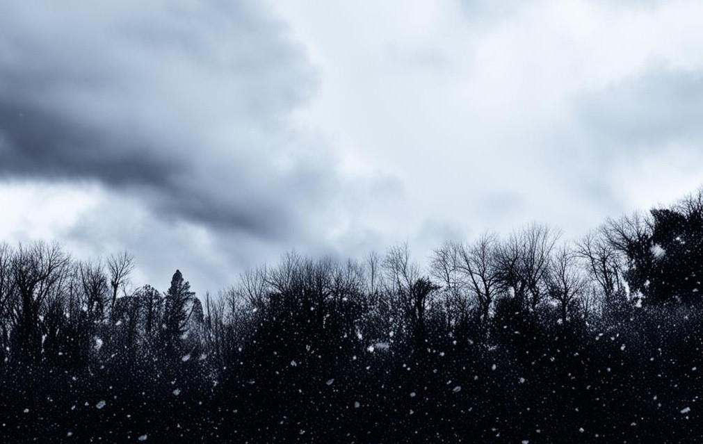 Пасмурное небо, дождь со снегом ожидает прокопчан в среду