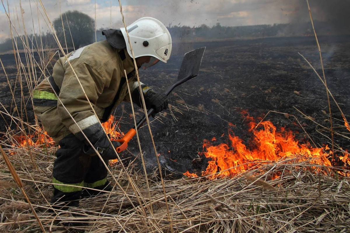 Кузбасс направил 120 миллионов рублей на борьбу с пожарами