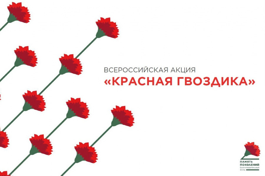 В Кузбассе пройдёт благотворительна акция "Красная гвоздика"