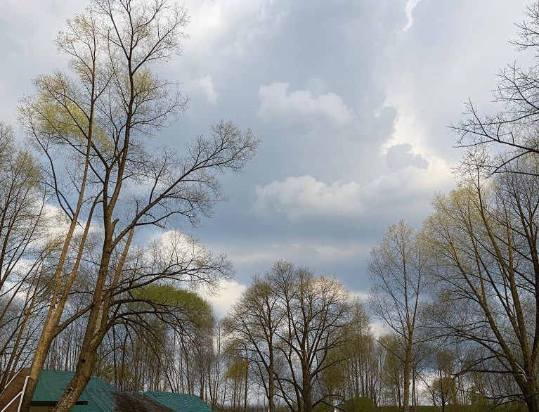 В воскресенье в Прокопьевске ожидается небольшая облачности и порывистый ветер