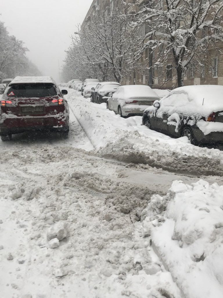 В Москве во время снегопада повалено более 2 тысяч деревьев