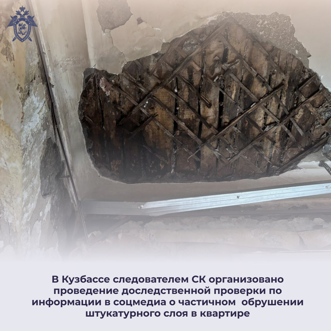 СК проводит проверку по факту обрушения потолка в квартире на Петренко,26 СК проводит проверку по факту обрушения потолка в квартире на Петренко,26