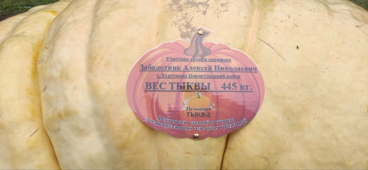 Кузбассовец вырастил тыкву в полтонны! Кузбассовец вырастил тыкву в полтонны!