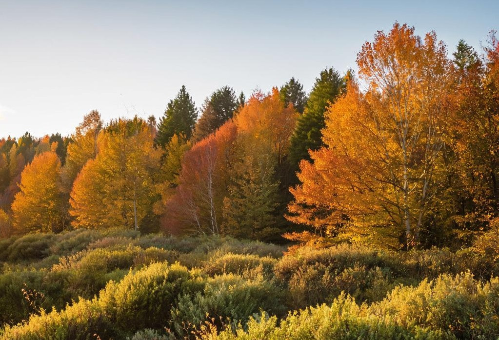 Кузбасс готовься! Приближается летняя жара в конце сентября