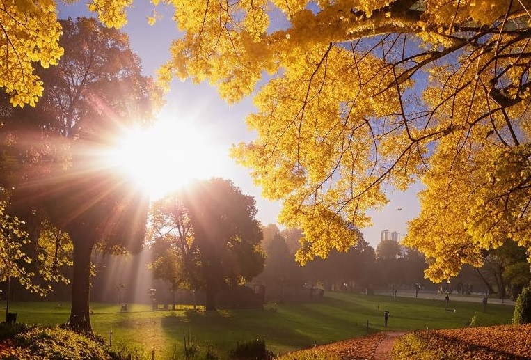 Достаём солнцезащитный крем: температура воздуха побьёт рекорды