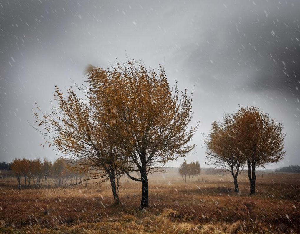 В воскресенье погода начнёт меняться. Местами возможен мокрый снег