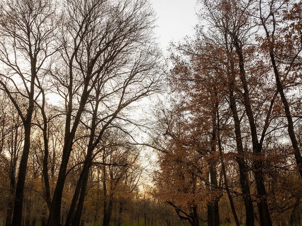 Кузбасс ждёт теплая погода с ураганным ветром Кузбасс ждёт теплая погода с ураганным ветром