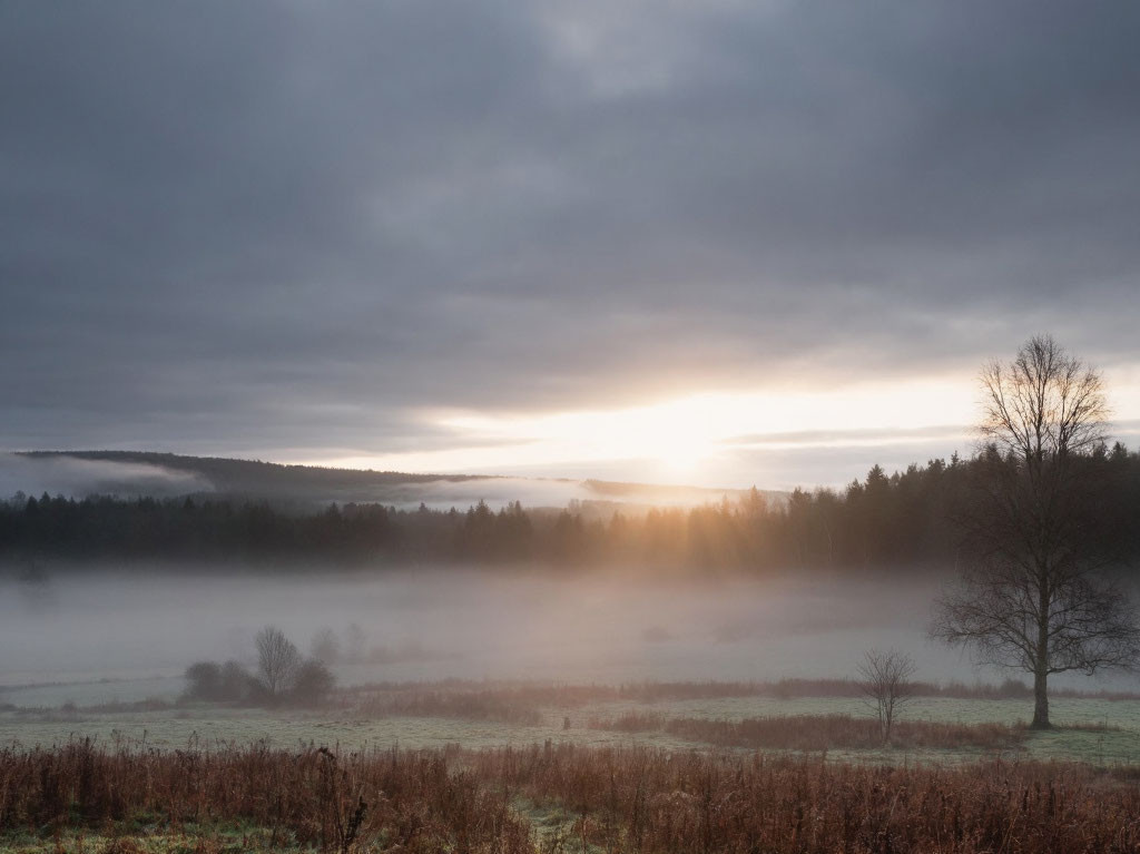 Во вторник в Кузбассе будет пасмурно, возможен дождь и усиление ветра