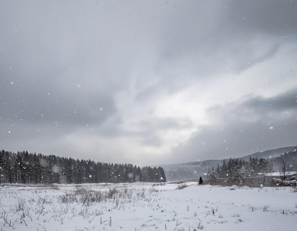 Снег, метели, порывистый ветер и похолодание до -16 Снег, метели, порывистый ветер и похолодание до -16