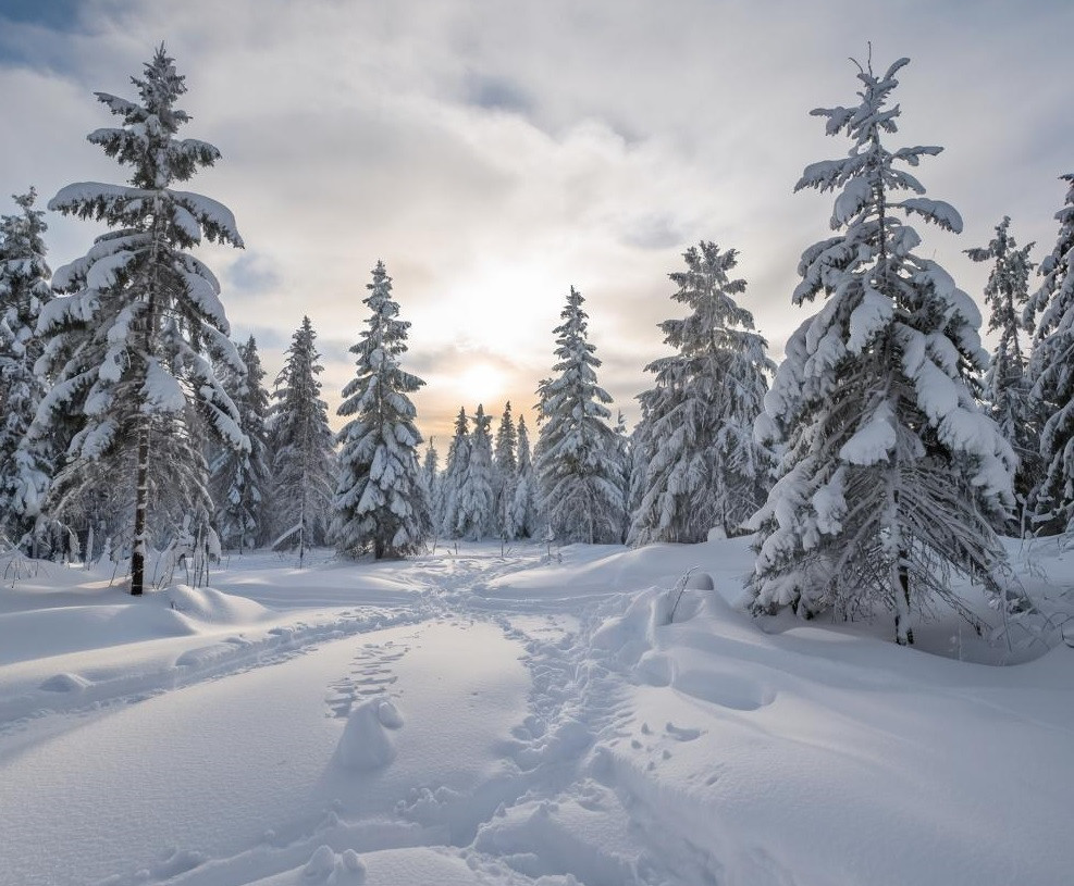 На выходных по Кузбассу ударят ночные морозы