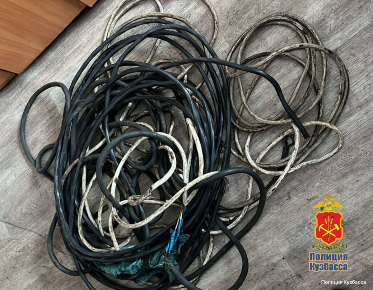 В Прокопьевске помощник по хозяйству украл у женщина медный кабель В Прокопьевске помощник по хозяйству украл у женщина медный кабель