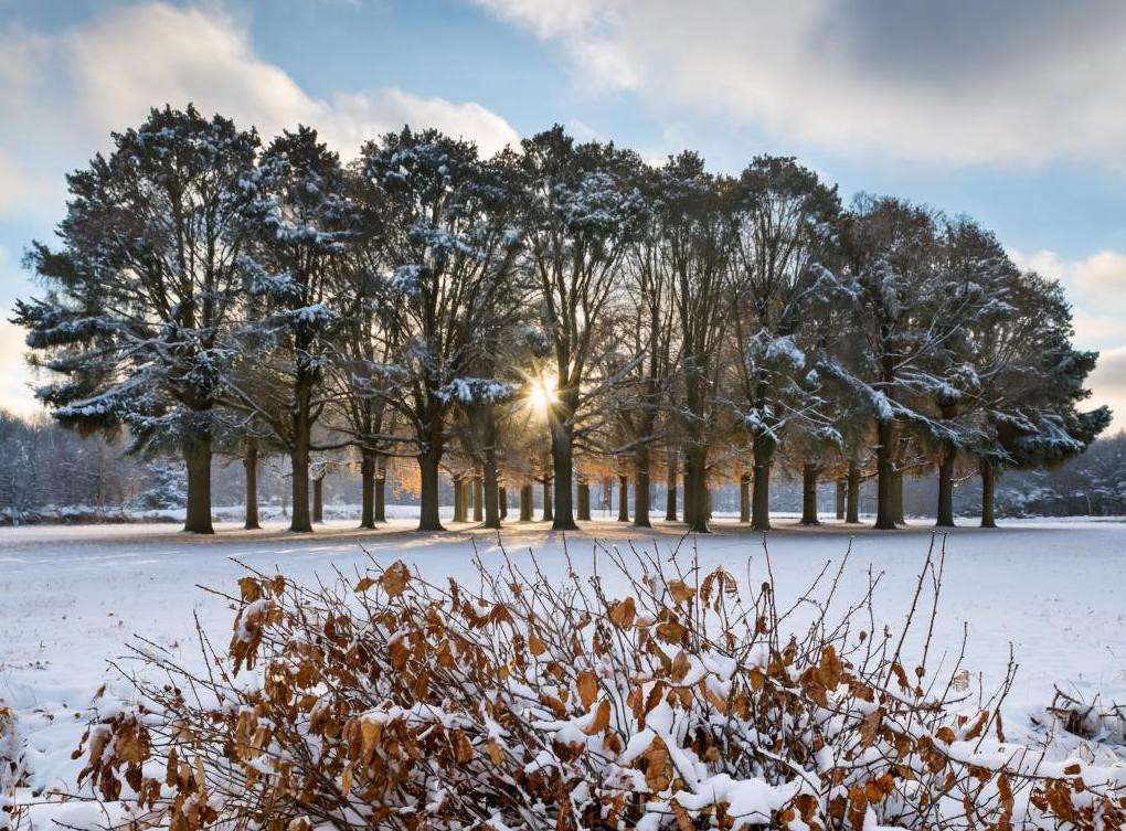 В понедельник в Кузбассе от -14 до +2, а следующей ночью пойдет дождь В понедельник в Кузбассе от -14 до +2, а следующей ночью пойдет дождь