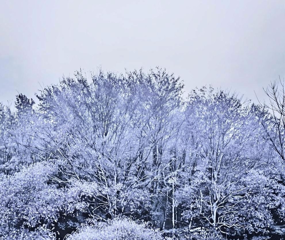 Пасмурная погода с перепадами температуры воздуха в 20 градусов ожидается в Кузбассе