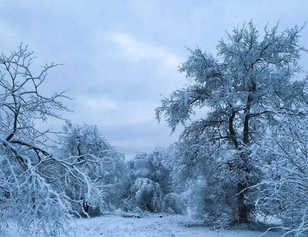 Плюсовая погода с дождем и мокрым снегом ждёт Кузбасс в пятницу