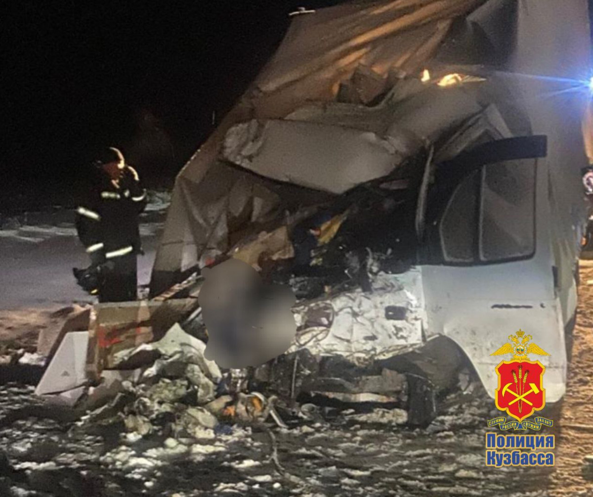 В Кузбассе фура "OZON" въехала в Газель. Погибли два человека