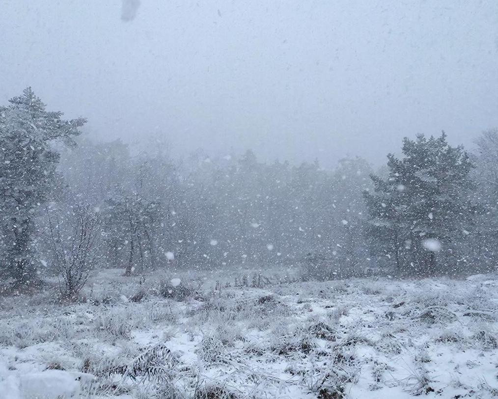 От -19 до -1, снег, метели и ураганный ветер