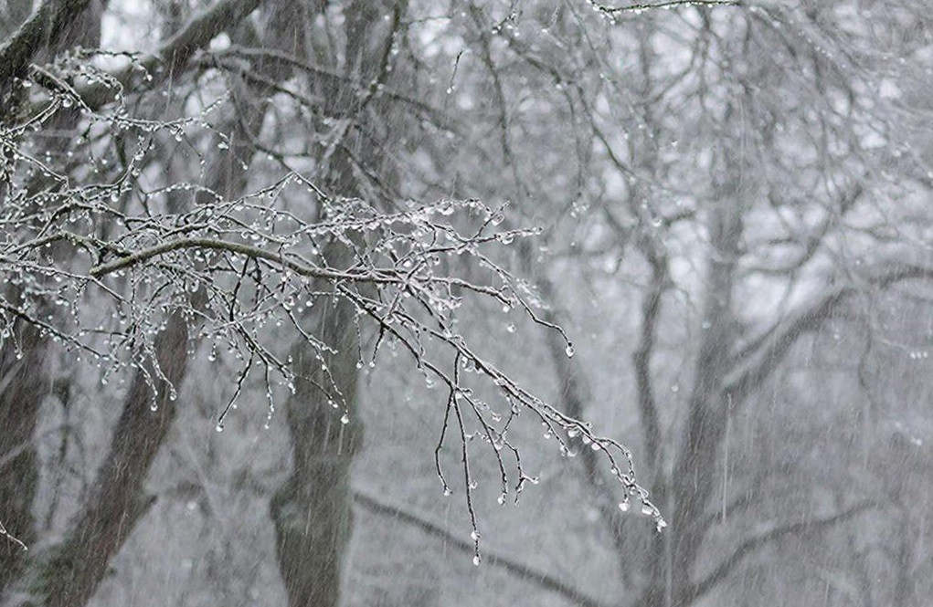 Нестабильная погода с оттепелью, дождём с мокрым снегом ожидается в Кузбассе Нестабильная погода с оттепелью, дождём с мокрым снегом ожидается в Кузбассе