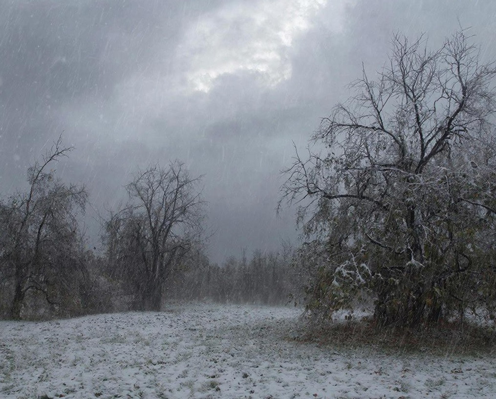 Плюсовая температура принесёт в Кузбасс вероятность дождей и гололёда Плюсовая температура принесёт в Кузбасс вероятность дождей и гололёда