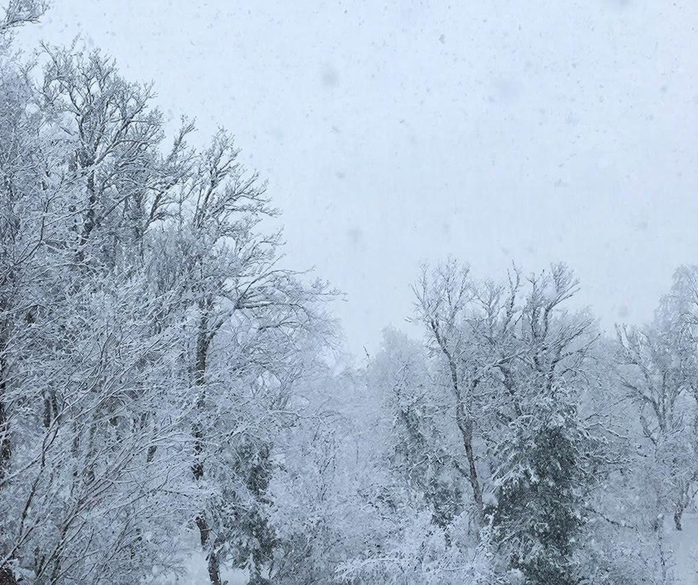 В Кузбассе вновь потеплеет до ноля, пройдёт снег, местами возможен дождь В Кузбассе вновь потеплеет до ноля, пройдёт снег, местами возможен дождь