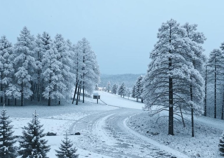 Среда в Кузбассе будет пасмурной и тёплой