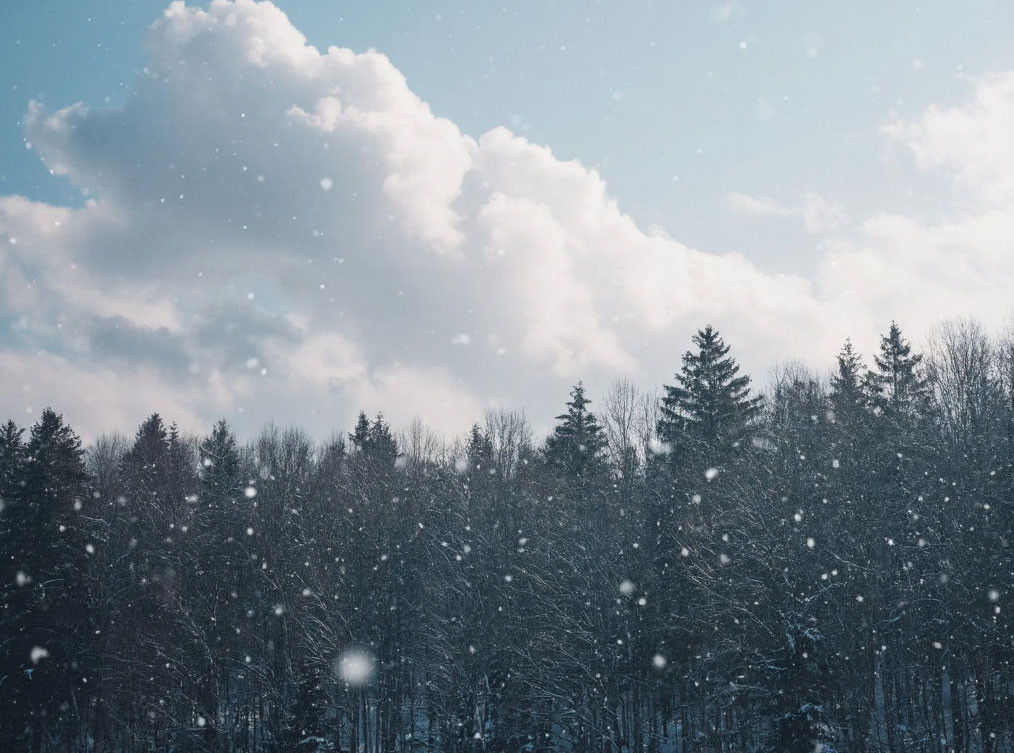 По-настоящему зимняя и комфортная погода установится в Кузбассе в воскресенье