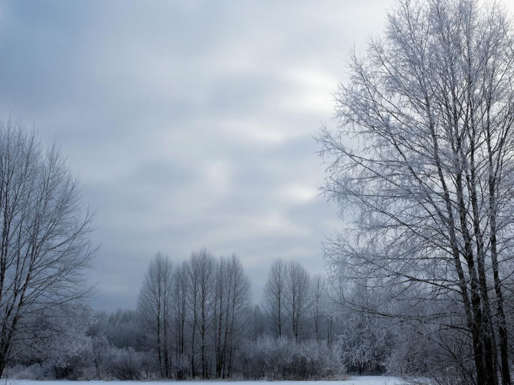 Циклоны ушли. В понедельник на Кузбасс надвинется холод Циклоны ушли. В понедельник на Кузбасс надвинется холод