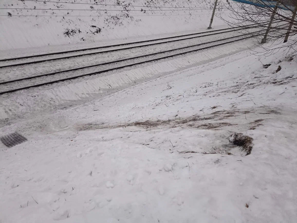 В Прокопьевске за игры детей вблизи железной дороги ответят их родители