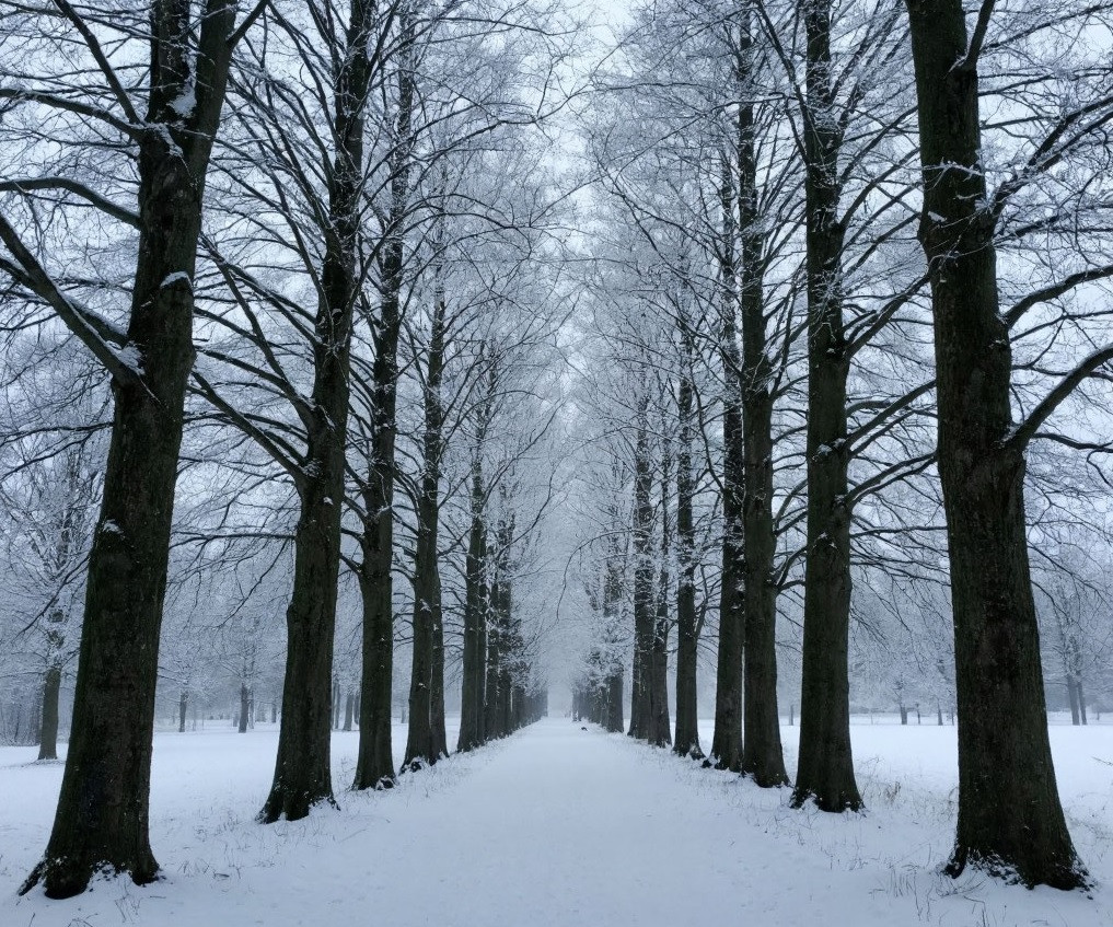 Морозы отступят. В четверг в течение дня в Кузбасс придет потепление