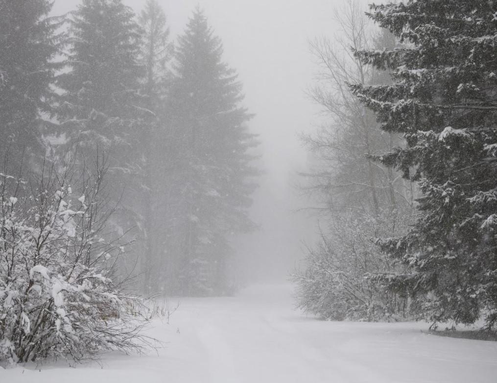 Тёплая, снежная ветреная погода с последующим похолоданием ждёт Кузбасс в пятницу