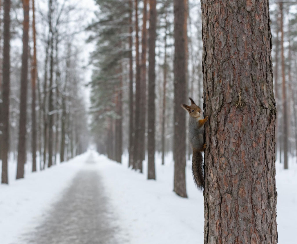 Начало первой рабочей недели в 2026 году будет слишком теплым Начало первой рабочей недели в 2026 году будет слишком теплым