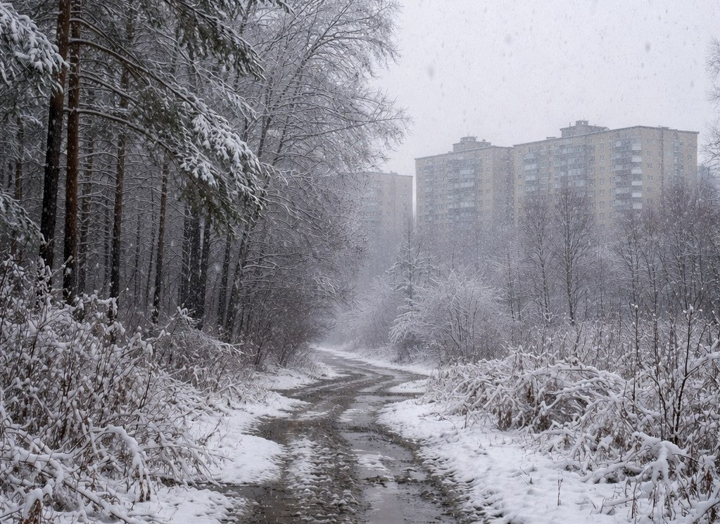 Мокрый снег с дождём и порывистым ветром накроют Кузбасс во вторник