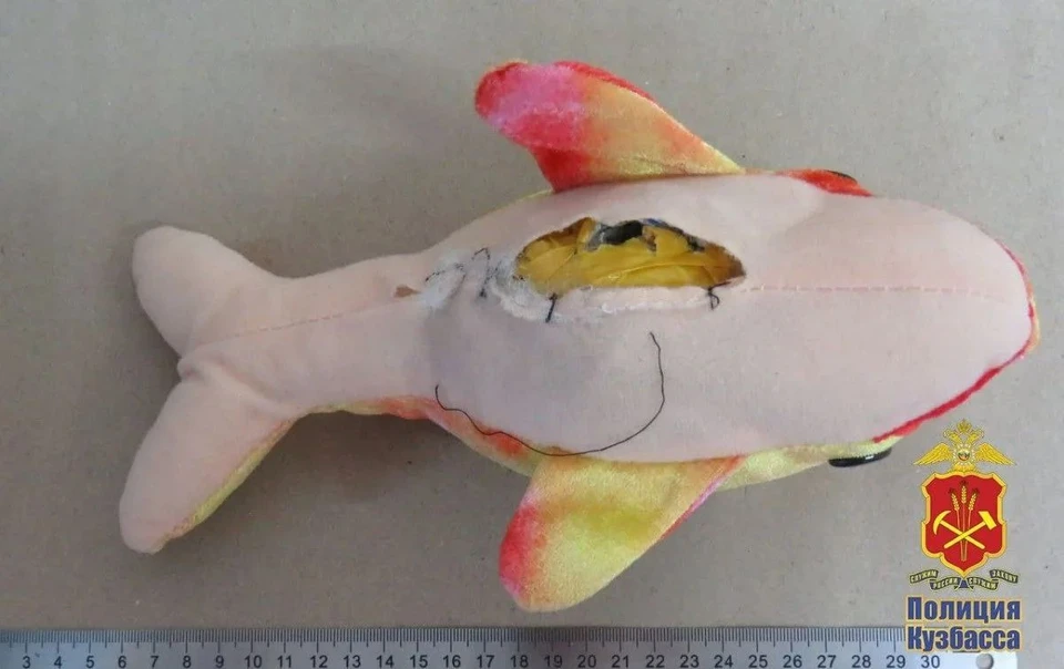 Прокопчанка сделала дыру в дельфине, чтобы перевести наркотики