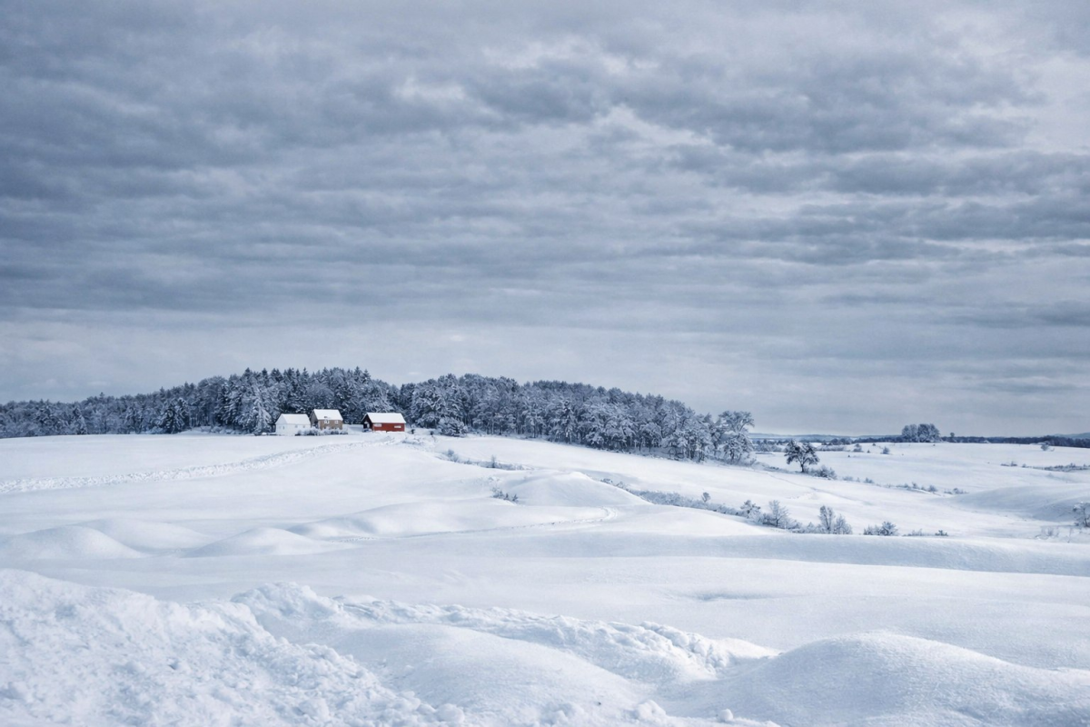 Зима берёт своё. В последние дни февраля в Кузбассе ожидается до -40
