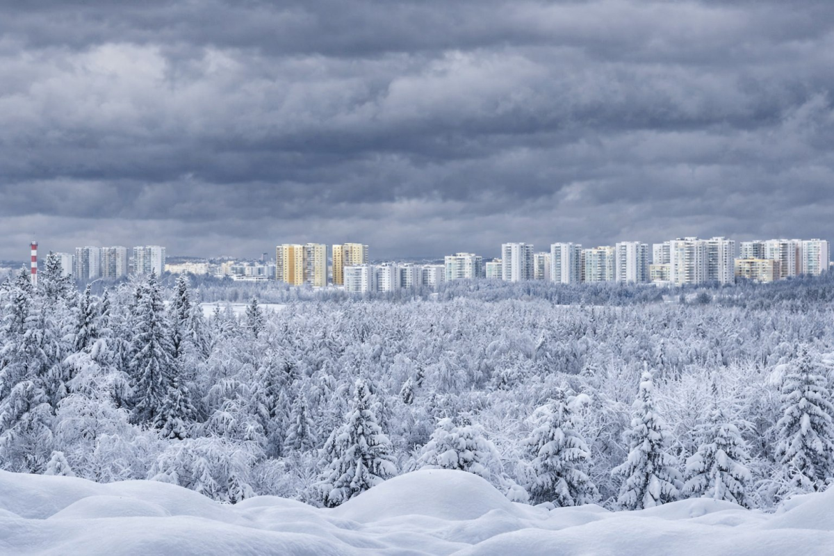 Завершение зимы в Кузбассе будет пасмурным и морозным