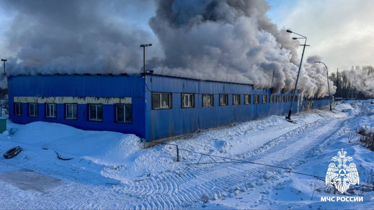 Разряд электричества стал причиной крупного пожара в Кемерове