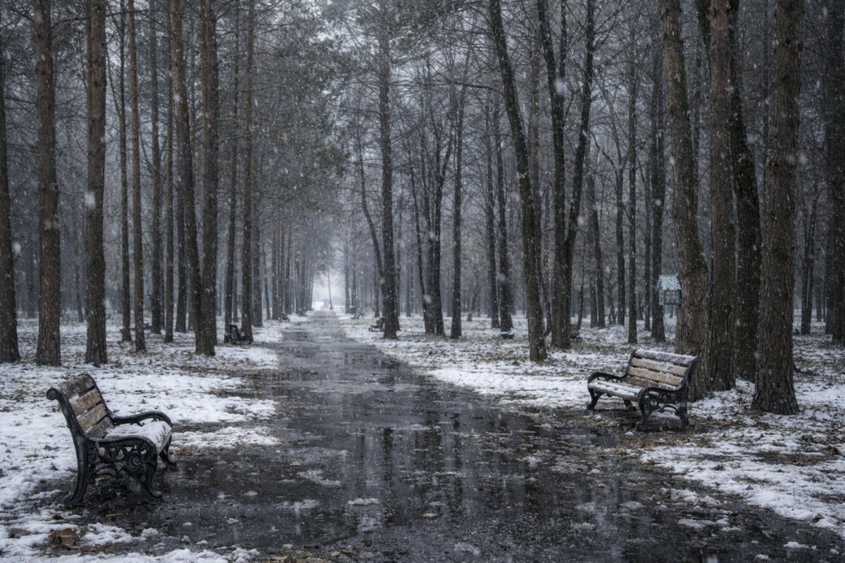 Суббота в Кузбассе будет малооблачной, а воздух прогреется до +5