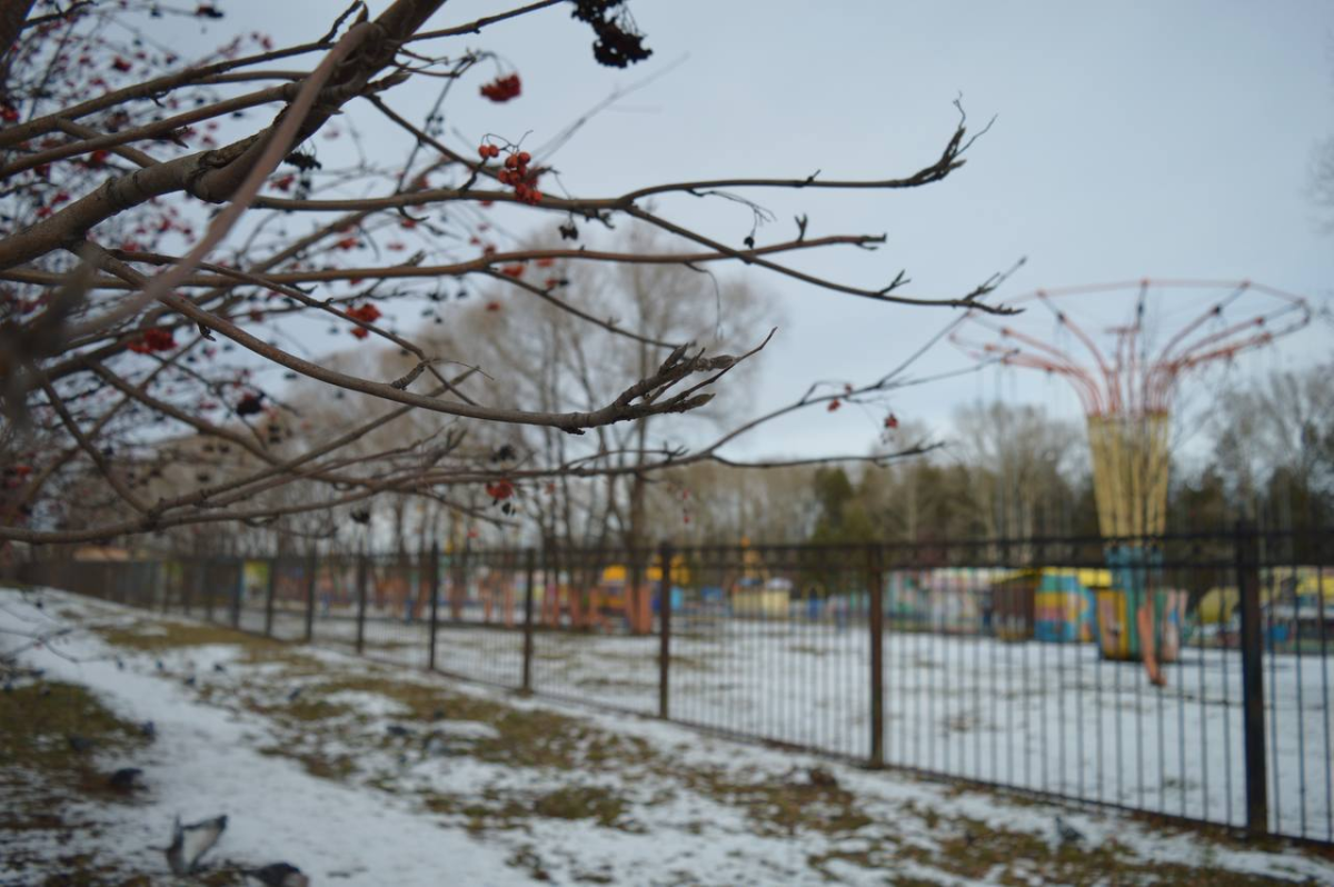 Жара придёт в Кузбасс в ближайшие выходные