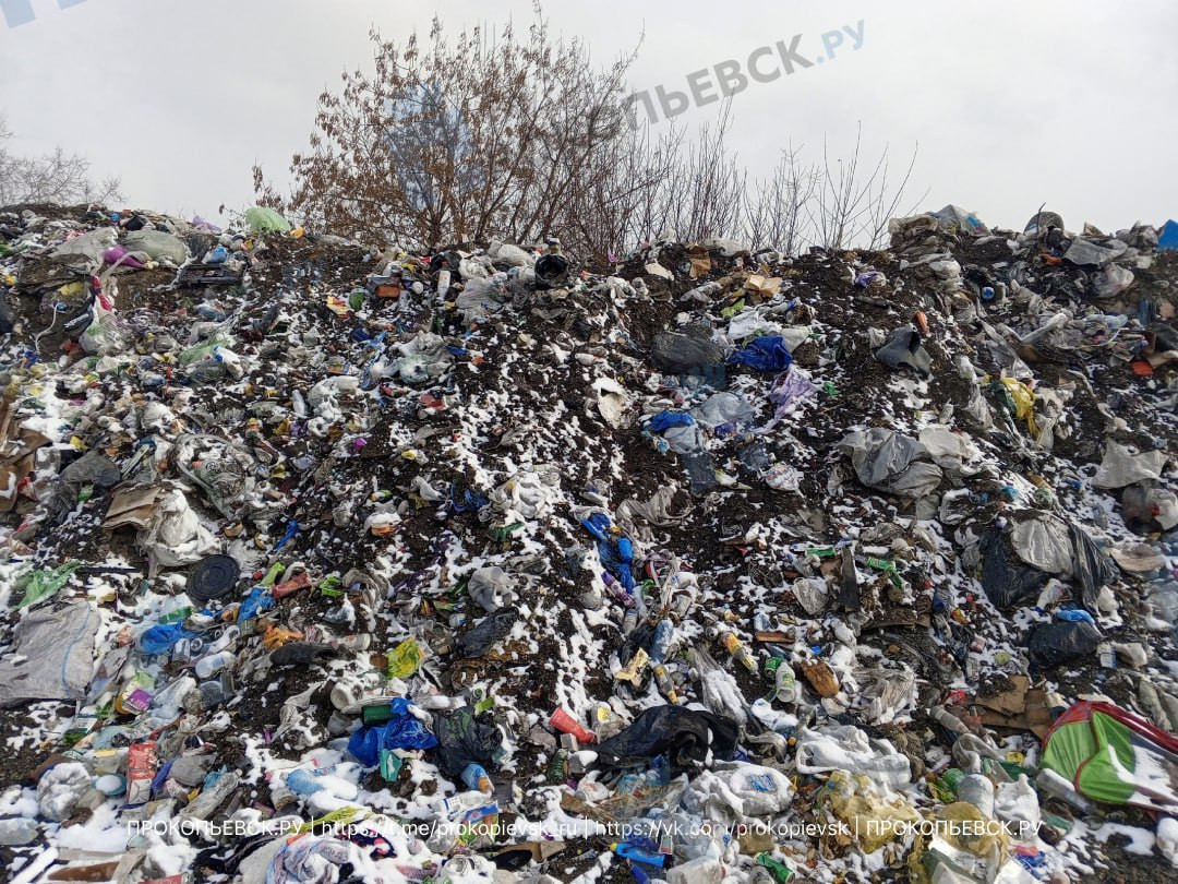 Администрация Прокопьевска по иску прокурора ликвидировала свалку на Ясной поляне