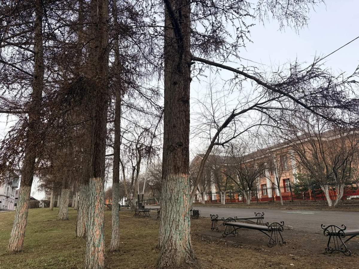 Облачно и жарко до +20 будет в Кузбассе в среду