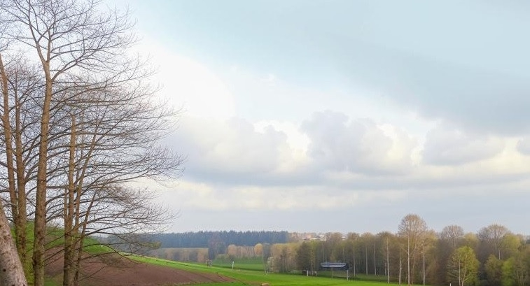 В последний день апреля в Кузбассе воздух прогреется до +28