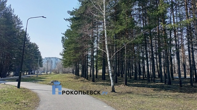 Первый рабочий день мая в Кузбассе будет облачным с порывистым ветром Первый рабочий день мая в Кузбассе будет облачным с порывистым ветром