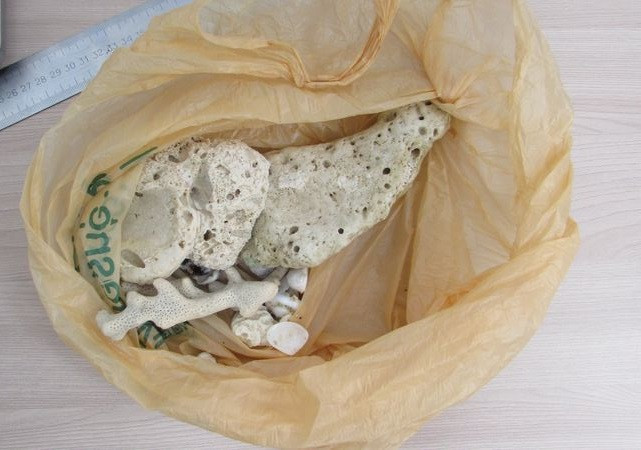 Туристка из Кузбасса пыталась привести из Пхукета неоформленные кораллы Туристка из Кузбасса пыталась привести из Пхукета неоформленные кораллы