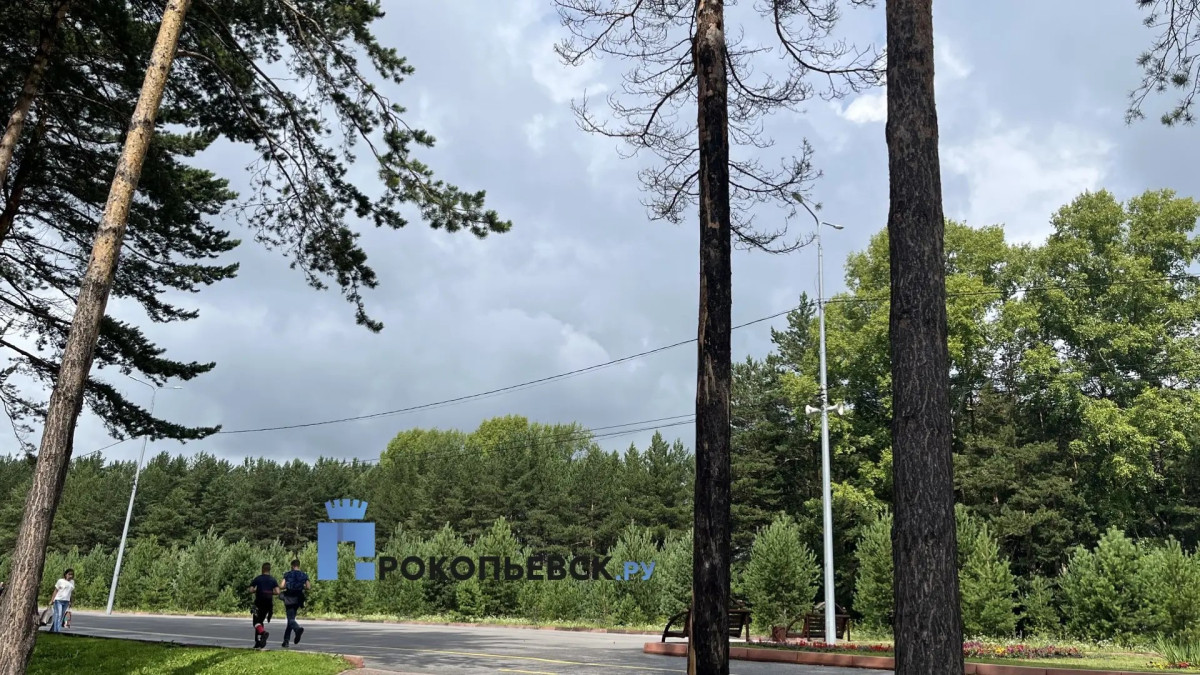 В пятницу жара покинет Кузбасс. Придут дожди и грозы В пятницу жара покинет Кузбасс. Придут дожди и грозы
