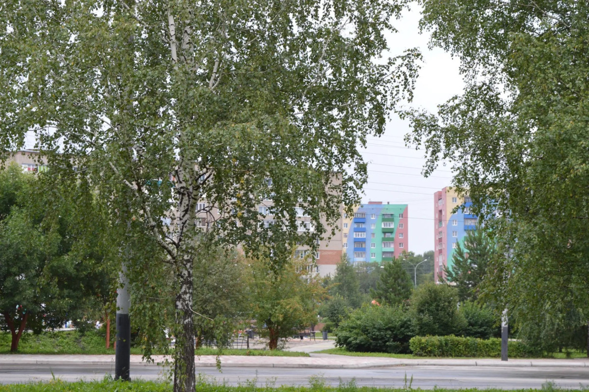 В Кузбассе погода во вторник будет пасмурной, возможны осадки и понижение температуры воздуха