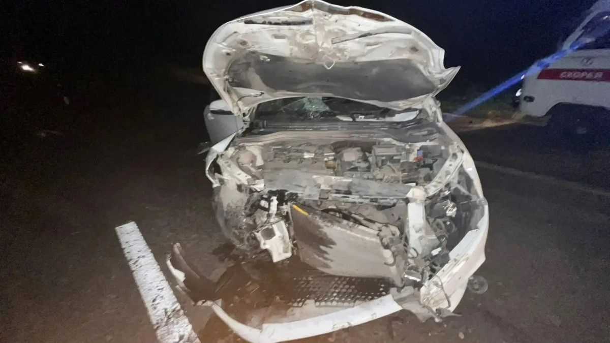 Под Прокопьевском водитель автомобиля погиб при столкновении с лошадью
