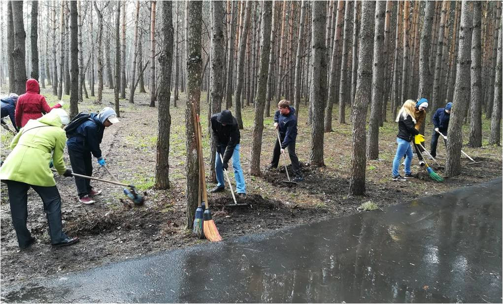 Сегодня в Прокопьевске высажено 40 молодых деревьев и очищено от мусора более 50 дворов