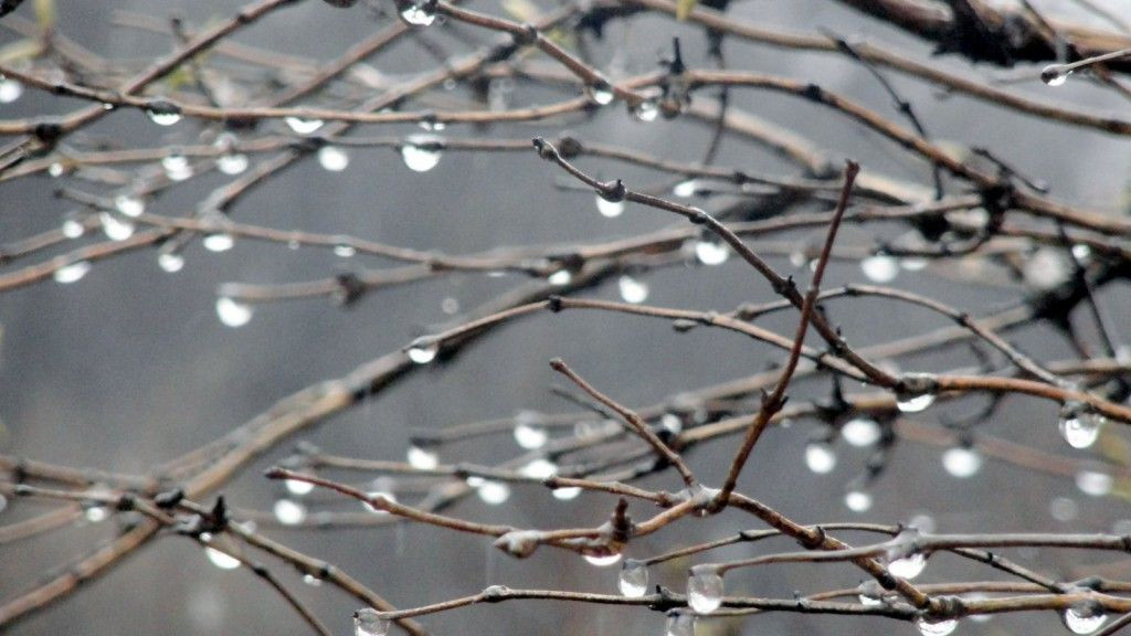 МЧС Кузбасса предупреждает об ухудшении погодных условий