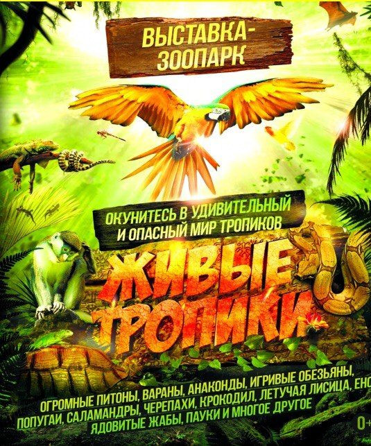В Прокопьевск приехала большая выставка экзотических животных "Живые тропики"